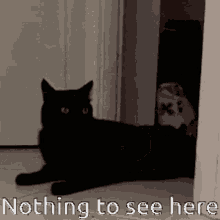 Nothing To See Here Im Out GIF - Nothing To See Here Im Out Im Done GIFs