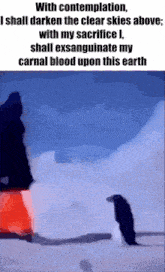 a penguin is standing in the snow with a quote that says with contemplation , i shall darken the clear skies above