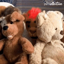 Disguise The Pet Collective GIF - Disguise The Pet Collective Hiding GIFs