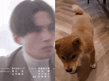 a blurry picture of a man and a dog with chinese writing on the bottom