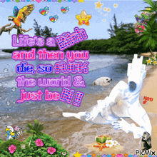 a picture of a beach with the words " life 's a bitch and then you die so fuck the world & just be bi "