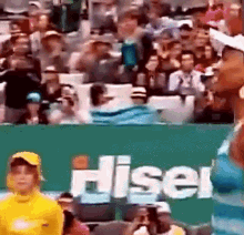 Venus Williams Tennis GIF - Venus Williams Tennis Handshake GIFs