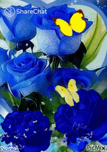 blue roses rose flowers butterfly %E0%A4%A4%E0%A4%BF%E0%A4%A4%E0%A4%B2%E0%A4%BF%E0%A4%AF%E0%A4%BE%E0%A4%81