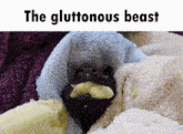a picture of a stuffed animal with the words " the gluttonous beast " above it