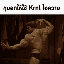Use Krnl Kub GIF