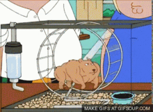 Buff Hamster Family Guy GIF
