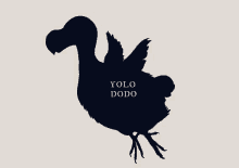 dodo yolo fly bird yeah