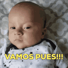Baby Salvadorean Vamo Pue GIF - Baby Salvadorean Vamo Pue Vamos GIFs