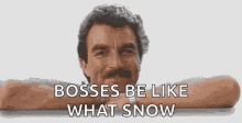 tom magnum boses be like what snow tom selleck smiling