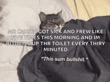 Cat Bruh Meme