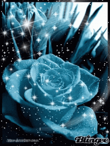 Aqua Blue Rose GIF - Aqua Blue Rose GIFs