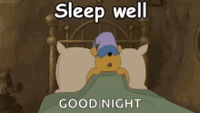 Winnie The Pooh Good Night GIF - Winnie The Pooh Good Night Sleep Well GIFs