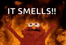 Burn Elmo GIF