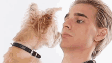 Dog Kiss Brad Mondo GIF - Dog Kiss Brad Mondo Pet Love GIFs
