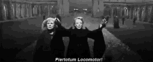 Piertotum Locomotor Harry Potter GIF - Piertotum Locomotor Harry Potter Mcgonagall GIFs