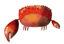 crab crab crab