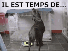 Somme GIF - Somme Sieste GIFs
