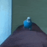 Koşan Kuş GIF - Koşan Kuş GIFs