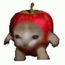 GIF