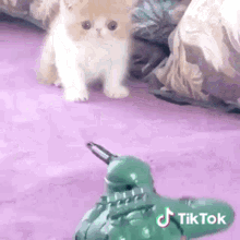Soldier Crawling GIF - Soldier Crawling Cat GIFs