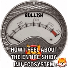 Shiba Inu GIF - Shiba Inu Shiba GIFs