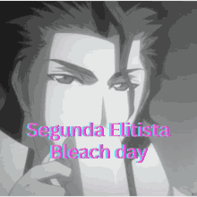 Bleach Day Elitism GIF - Bleach Day Elitism GIFs