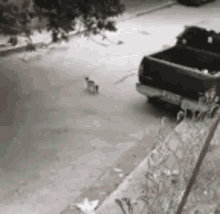 a black truck is parked on the side of the road next to a dog walking on the sidewalk .