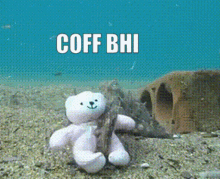 Coff Bhi GIF