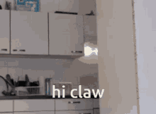 Hi Claw GIF - Hi Claw GIFs