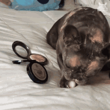 Frenchie Makeup GIF - Frenchie Makeup Disaster GIFs