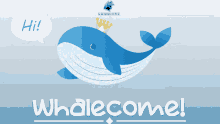Whalecome GIF - Whalecome GIFs