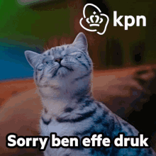 Funny Cute GIF - Funny Cute Party GIFs