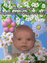 a picture of a baby surrounded by daisies and flowers with a message in greek