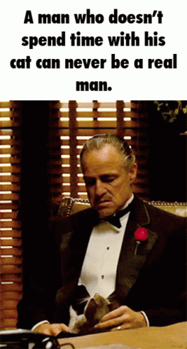 Godfather A Man GIF - Godfather A Man Who - Discover & Share GIFs