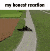 honest reaction