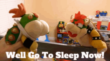 Sml Bowser GIF - Sml Bowser Well Go To Sleep Now GIFs