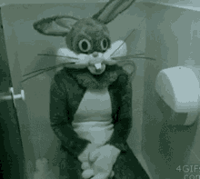 Bathroom Bunny GIF - Bathroom Bunny GIFs