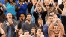 Fans Clapping GIF - Fans Clapping Standing Ovation GIFs