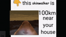 Hamster Skinwalker GIF - Hamster Skinwalker GIFs