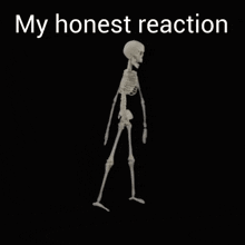 My Honest Reaction Bruh GIF - My Honest Reaction Bruh Skeleton GIFs