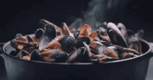 Steaming Mussels GIF