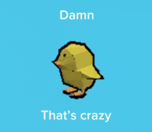 a picture of a yellow chick with the words damn that 's crazy below it
