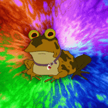 Hypno Toad Futurama GIF - Hypno Toad Futurama GIFs