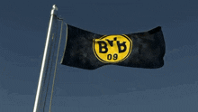 Heja Bvb Dortmund GIF