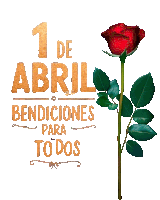 a red rose is next to a sign that says " bendiciones para todos "