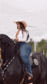 a woman wearing a cowboy hat is riding a black horse .