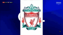 Liverpool Goal GIF - Liverpool Goal GIFs