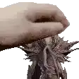 a close up of a person 's hand touching a statue of a dragon .