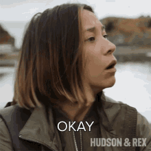 Okay Sarah Truong GIF - Okay Sarah Truong Hudson And Rex GIFs