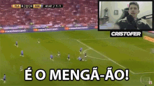 Eo Mengao Flamengo GIF